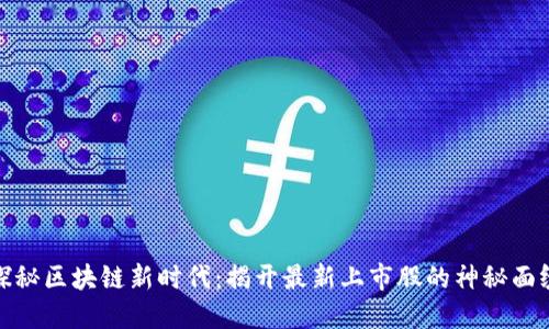 探秘区块链新时代：揭开最新上市股的神秘面纱